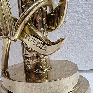 220125483_4210018365751779_8920117782008119434_n